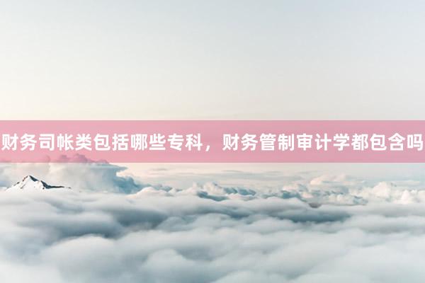 财务司帐类包括哪些专科，财务管制审计学都包含吗