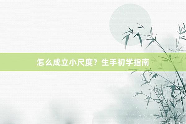 怎么成立小尺度？生手初学指南