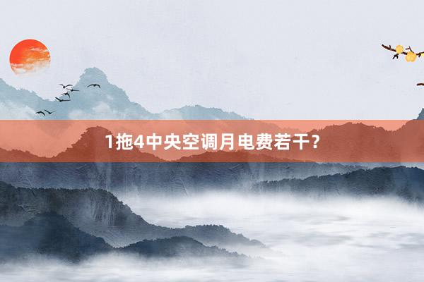 1拖4中央空调月电费若干？
